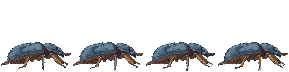 Carrion Beetle idle