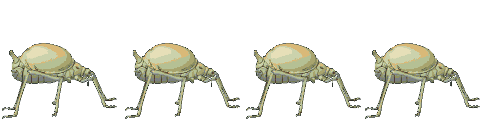 Dew Aphid attacking