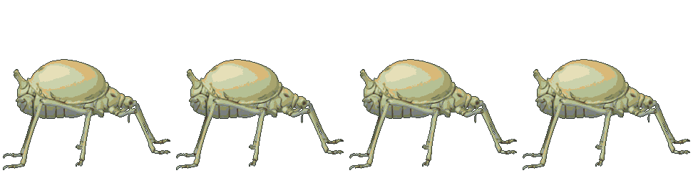 Dew Aphid idle