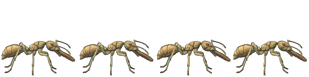 Gallery Ant attacking