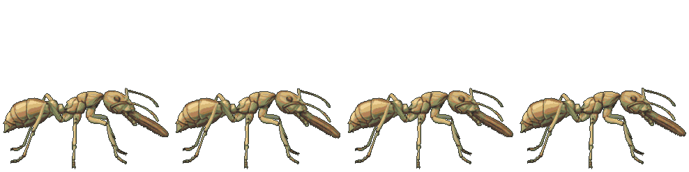 Gallery Ant idle