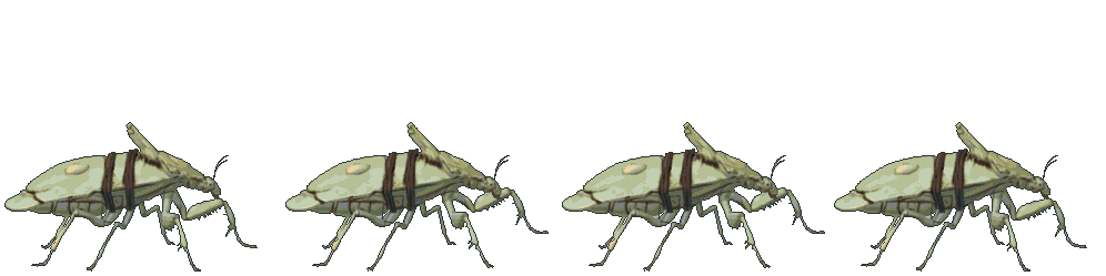 Mantis Stalker attacking