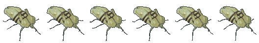 Mantis Stalker walking