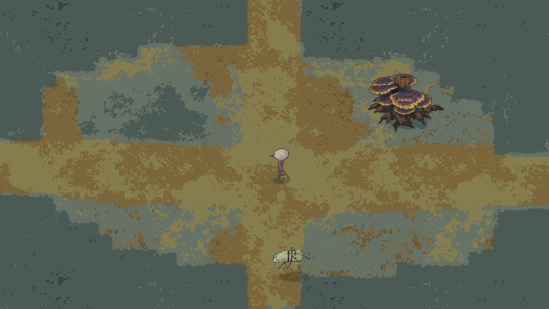 A Mycelid in a gallery crossing on Floor 4, a carrion beetle below and a shelf fungus to the east