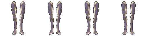 The Wolf Hind Leg graft