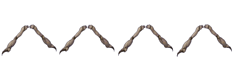 The Spider Fang Arm graft